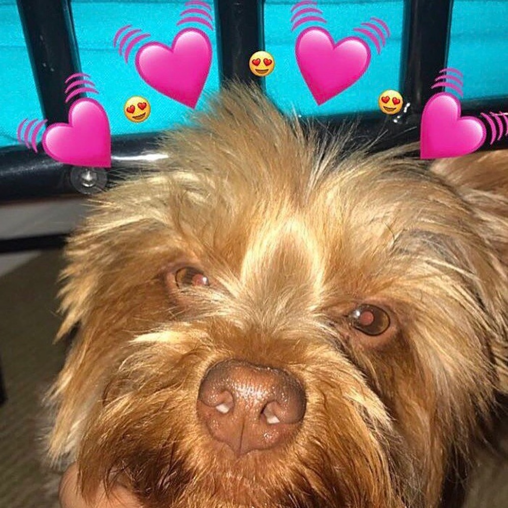 Meet your Posher, Irie